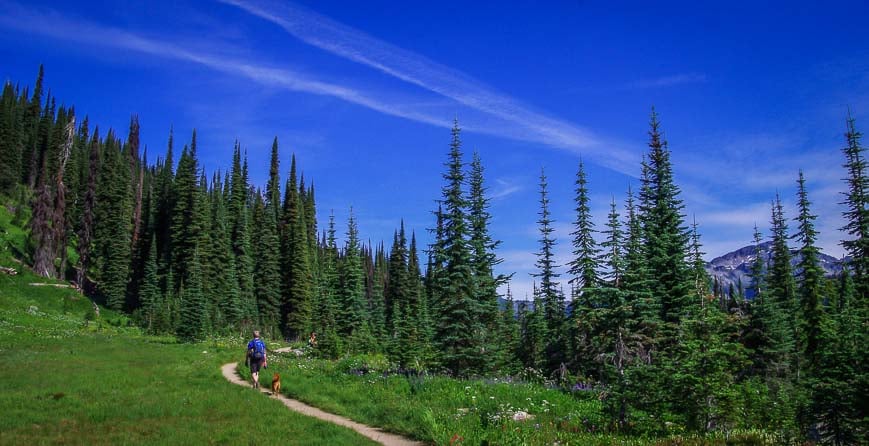 It's a beautiful hike to Eva Lake