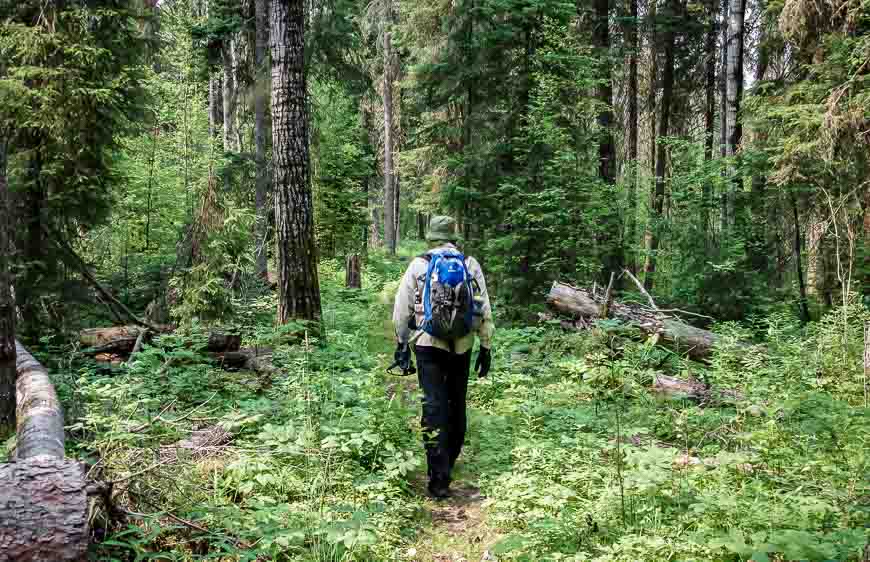 A hike to Grey Owls Cabin