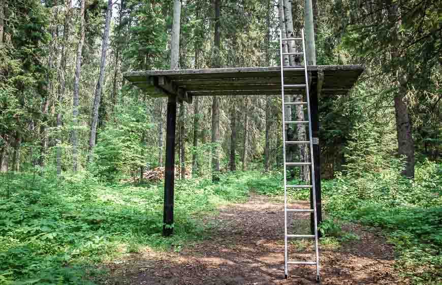 I'd never seen this sort of set-up for bear-proofing food before