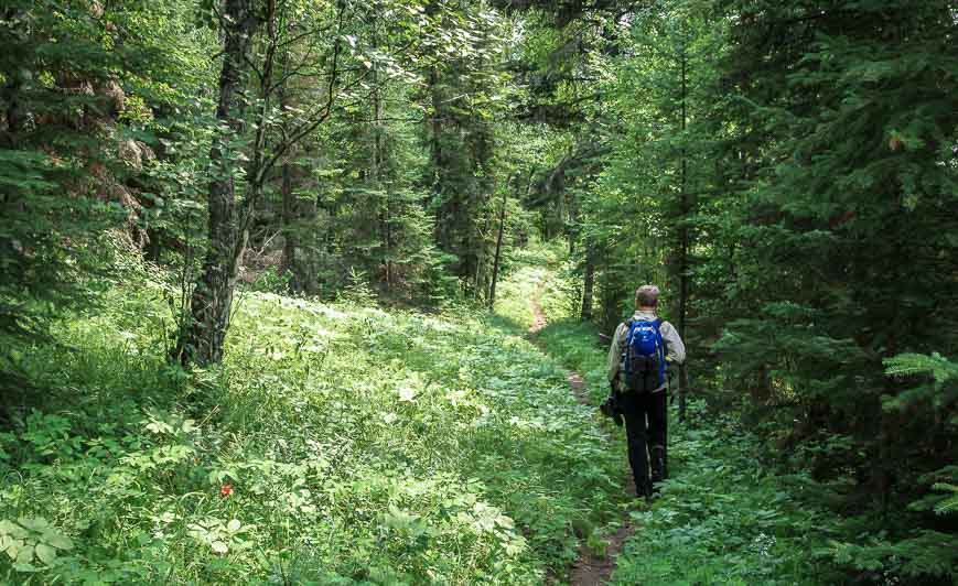 The trail is very easy to follow