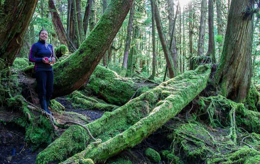 A Haida canoe that was never finished, perhaps because smallpox decimated the population