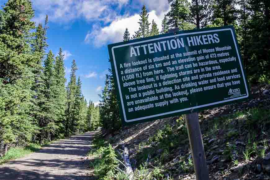 The start of the trail via a fire road to Moose Mountain