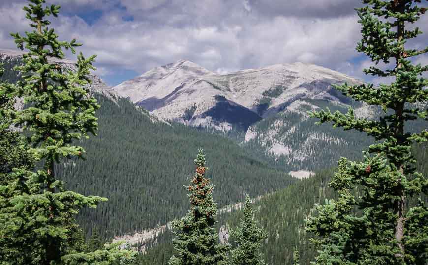 The destination is the distant peak in the background