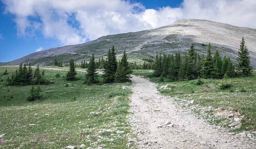 Moose Creek Loop  Kananaskis Trails