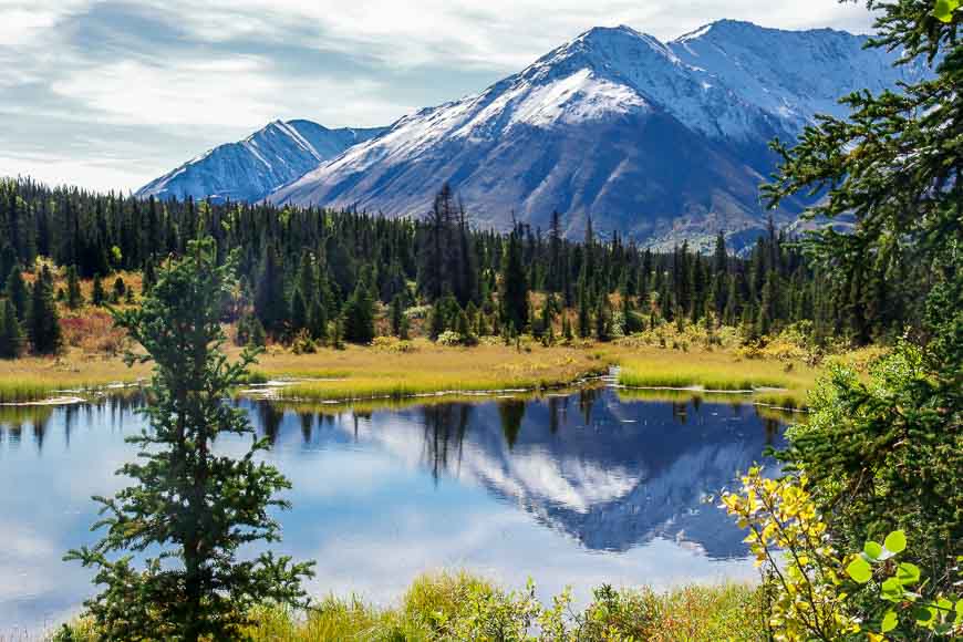 Watch for moose as you hike past the pond and through the meadows