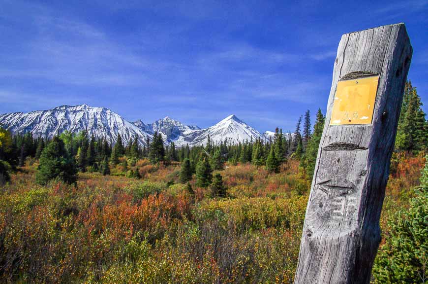 Auriol Trail Hike in Kluane National Park