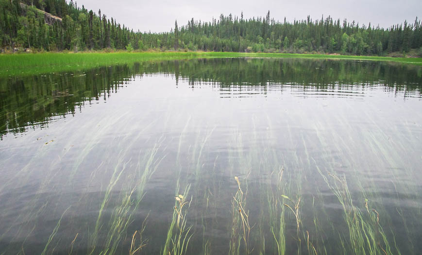 Paddling over beautiful grasses