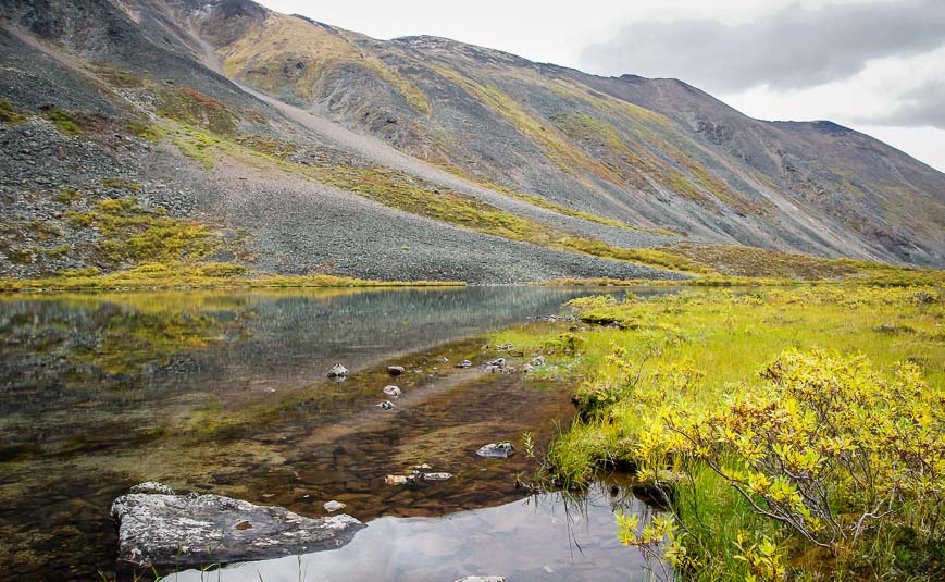 Reflection on Grizzly Lake