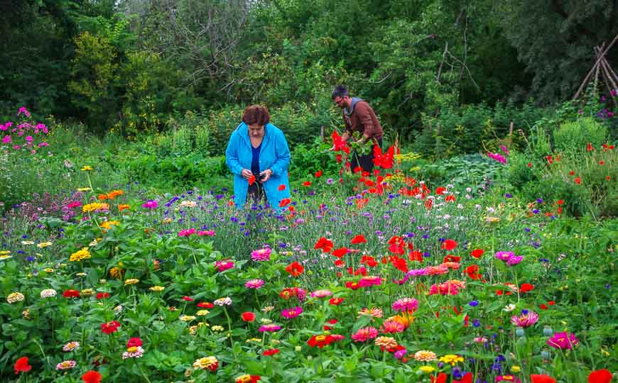 Picking garden toppings for your pizza at Integrity Foods in Riverton