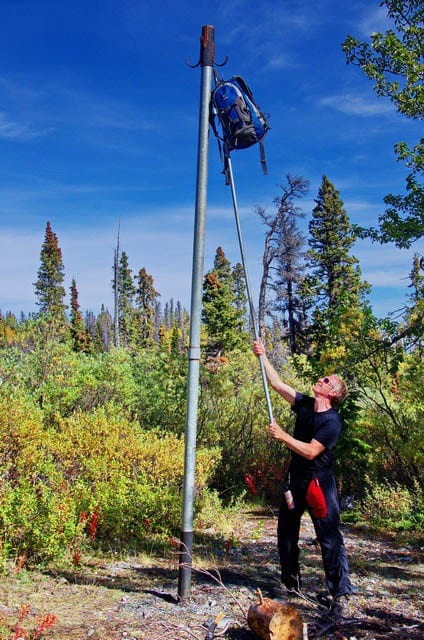 "John demonstrating how to hang a bag so the bears can't get it on the Auriol Trail