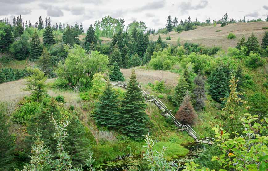 A palette of green near the Devil's Punch Bowl