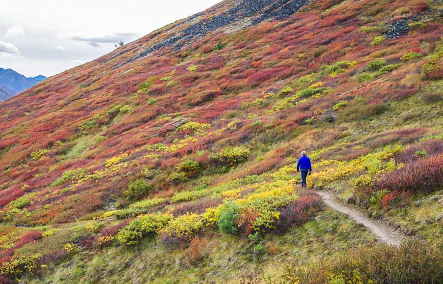 Heading back to the trailhead on the Goldensides Hike just off the Dempster Highway