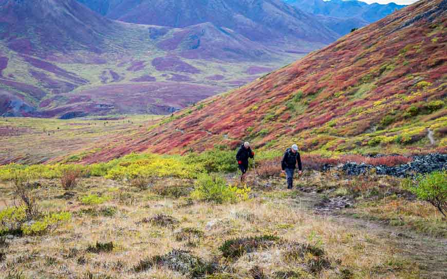 Hikers on the Goldensides trail