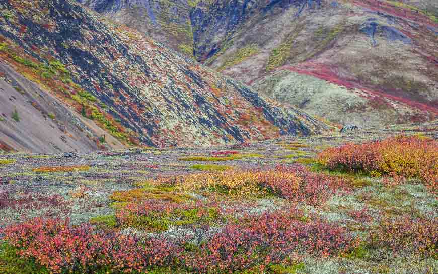 I'd never seen anything quite like this landscape before