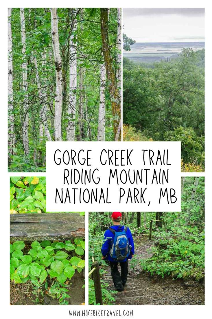 The Gorge Creek trail hike in Riding Mountain National Park, Manitoba