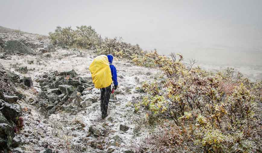 Picking our way through the snow