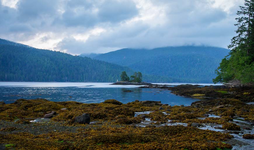 Our campsite near Rose Harbour