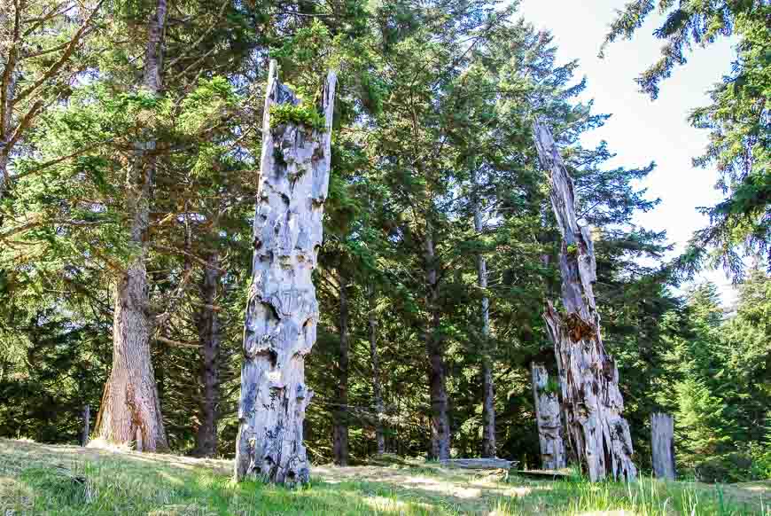 Our first glimpse of the totems