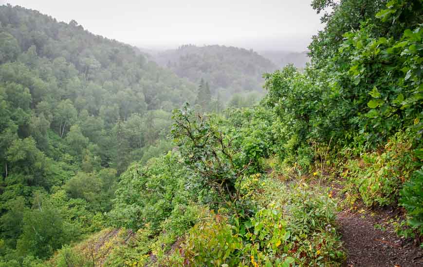 You feel like you're in a Costa Rican rainforest - but you're in Manitoba