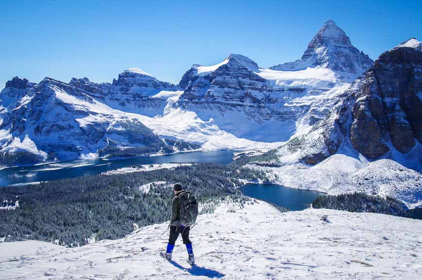 Mount Assiniboine dominates the landscape when you're hiking the Nublet