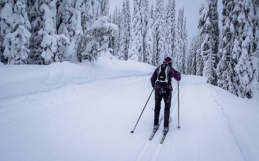 Fantastic cross-country skiing at Silver Star