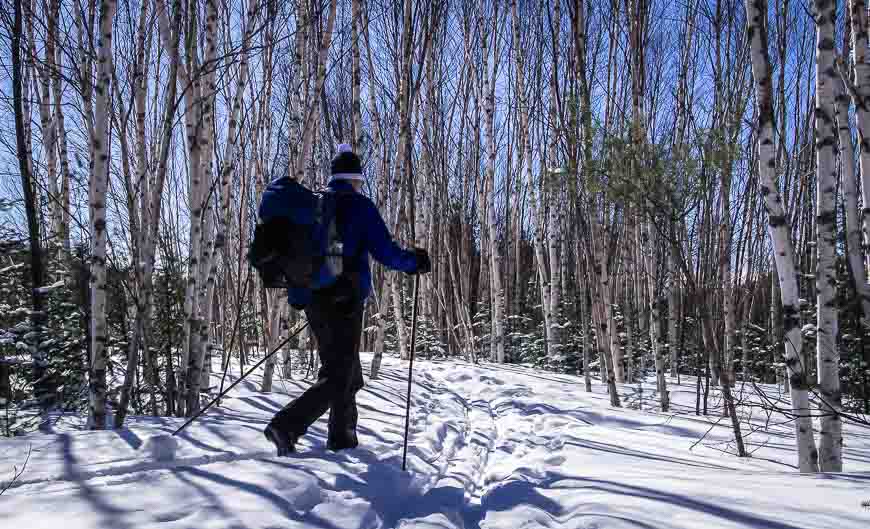 Nordic skiing at Mont Tremblant is a fantastic experience