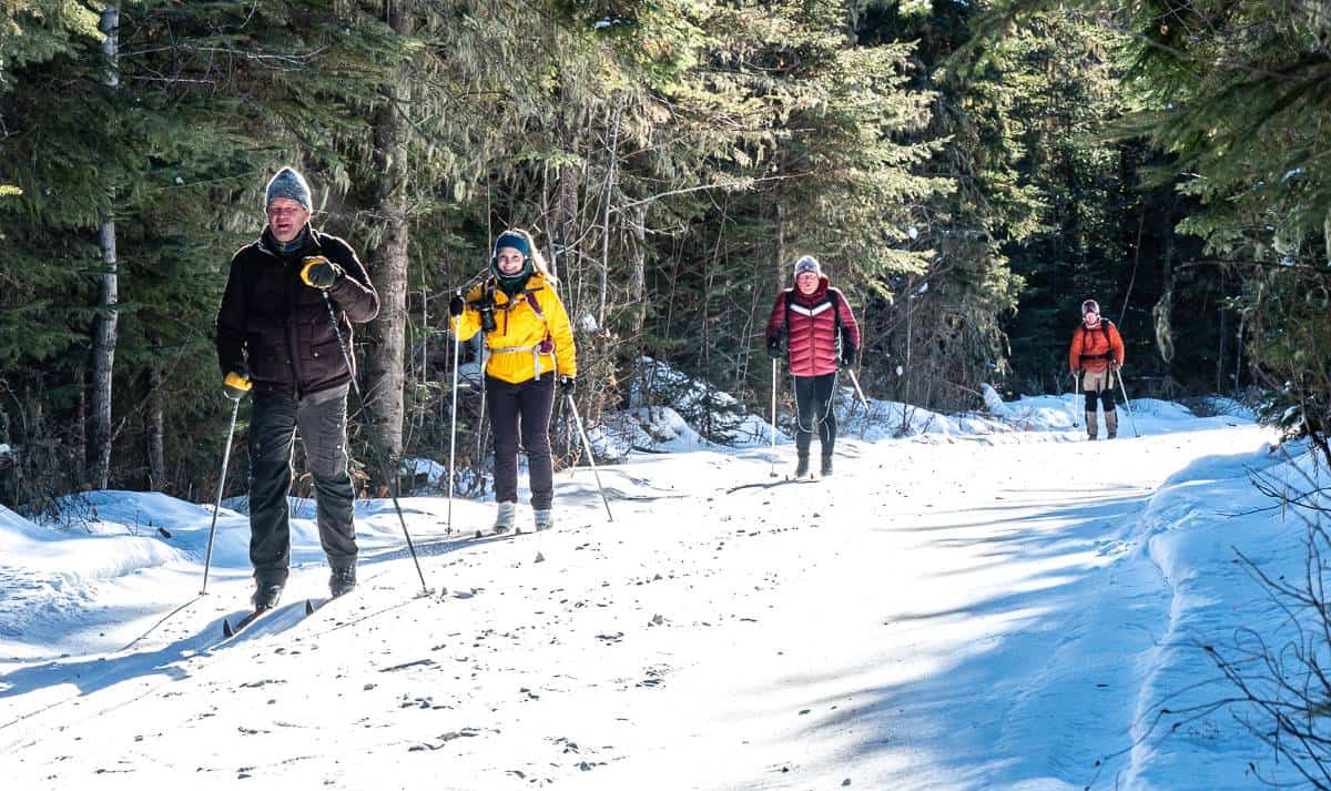 Fantastic cross-country skiing in Prince Albert National Park