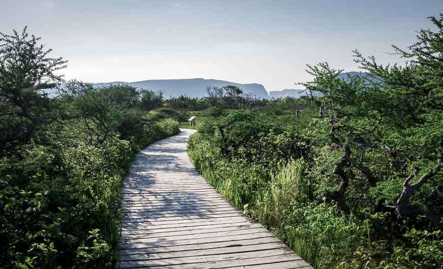 Follow the trail to reach Western Brook Pond