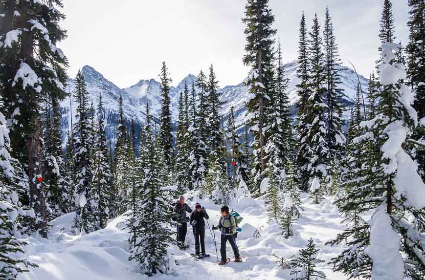 The start of the Chester Lake snowshoe trail involves a steep climb