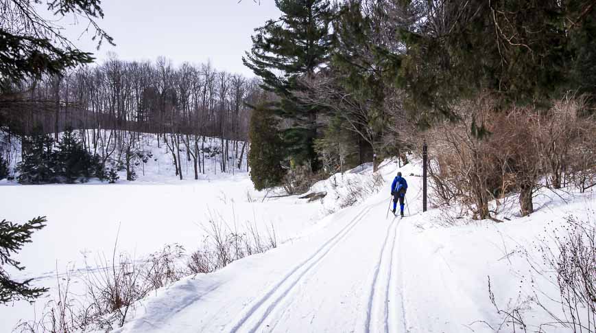 Total peacefulness cross country skiing in Gatineau Park