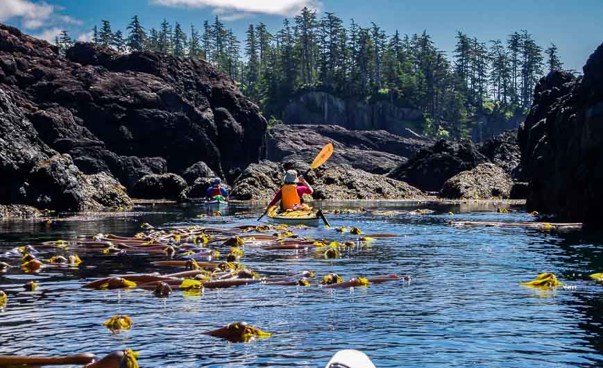 Delightful kayaking among islands on the west coast of Haida Gwaii