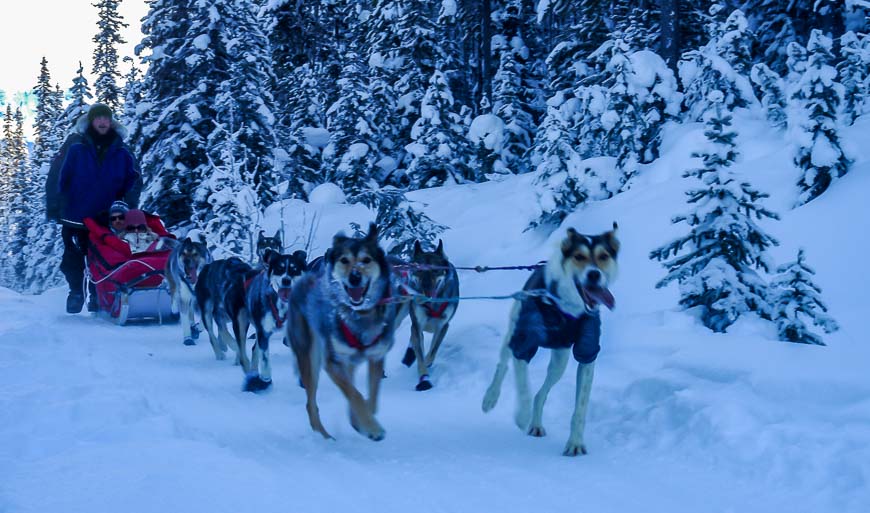 Dogsledding on the Great Divide Trail
