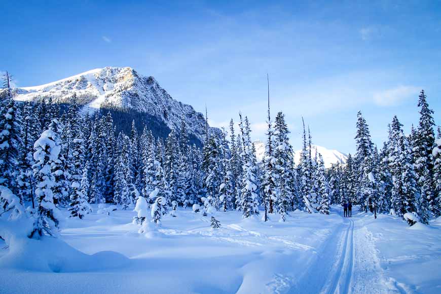 Cross-country skiing on the Fairview Trail - a perfect way to spend winter in Lake Louise
