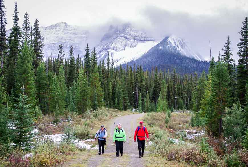 Walking the final few hundred metres to the Mt Shark parking lot