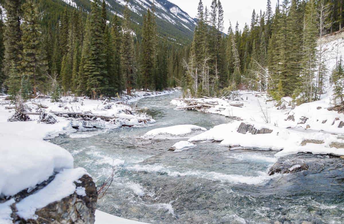 Looking down the Spray River from the bridge at the end of the loop part of the trail