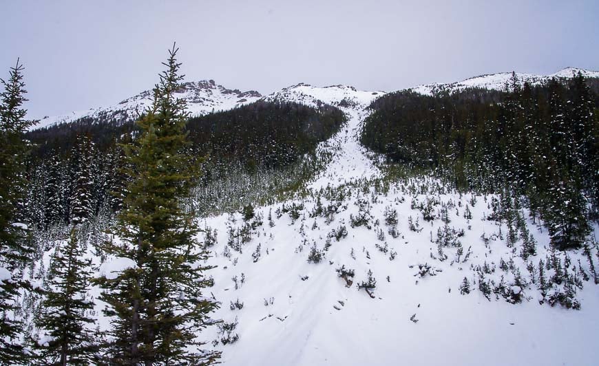 Avalanche path to the shores of Boom Lake