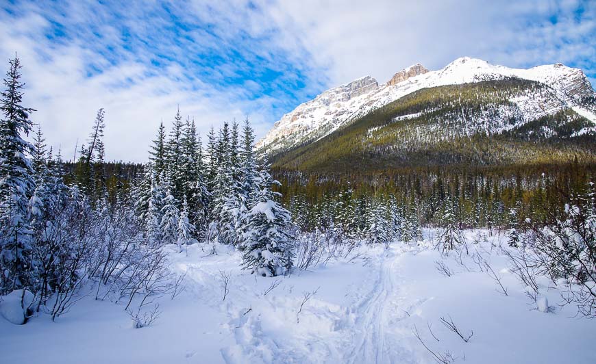 To get to Chickadee Valley look for a fork to the right - about 75 m from the highway