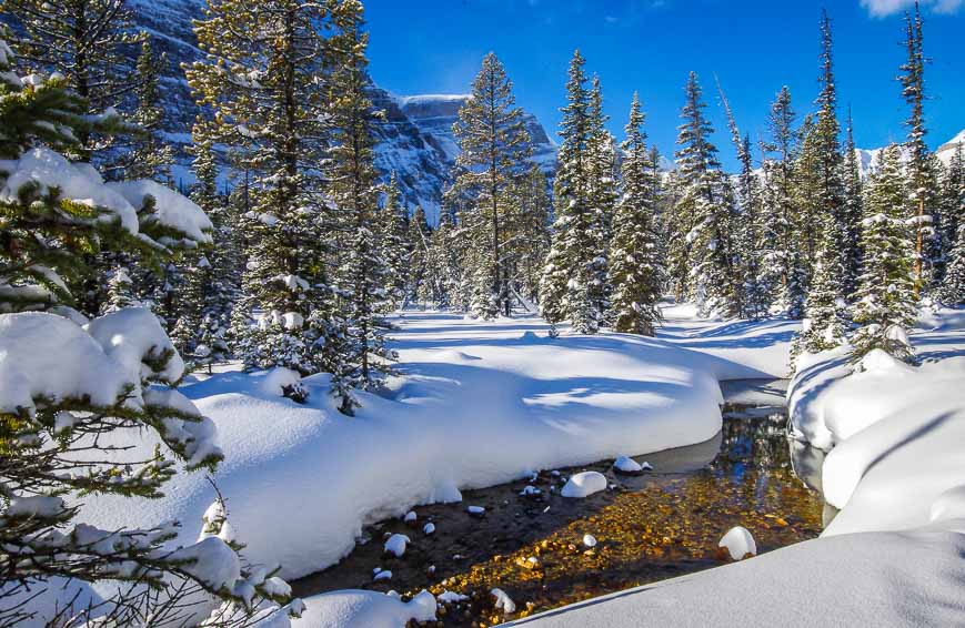 In Chickadee Valley there was lots of open water