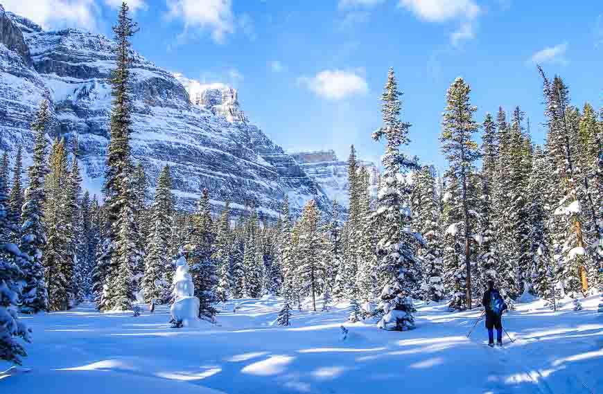 Beautiful skiing in the Chickadee Valley