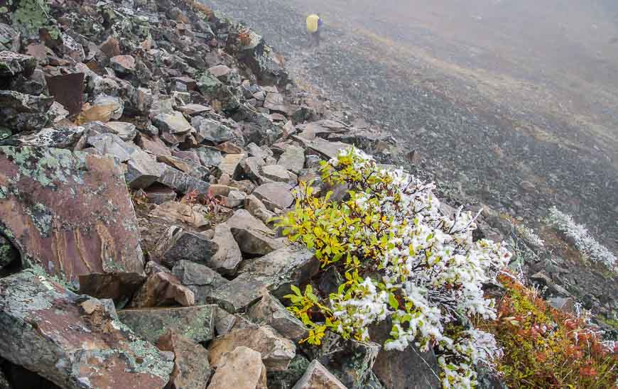 Tombstone Mountains hiking takes place in one rocky landscape