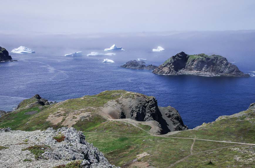 Multiple icebergs in Iceberg Alley at the end of June