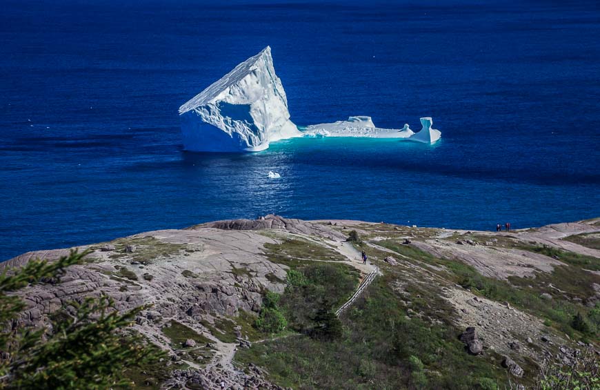 Iceberg just off of Signal Hill in St. John's