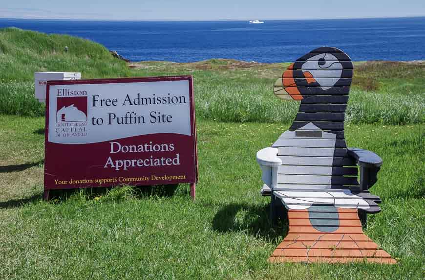 Bring a long lens if you want to photograph the puffins