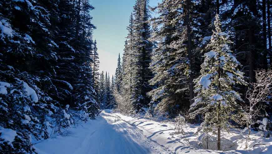 It's a pretty ski in to Sundance Lodge primarily in the trees