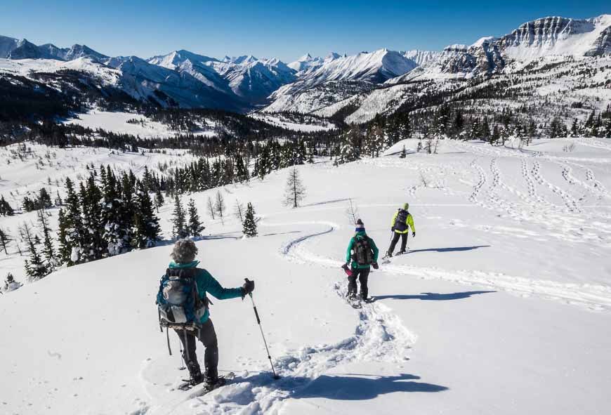 Scenery on a blue sky day while Sunshine Village snowshoeing