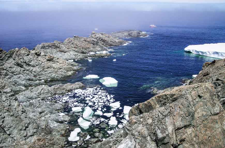 Bergy bits galore in Twillingate