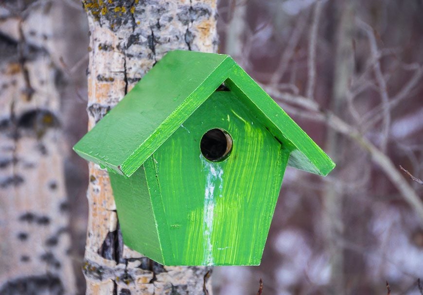 Look for brightly coloured bird houses along the trails