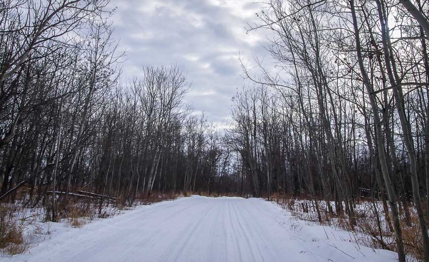 Mostly empty trails - even on a long weekend