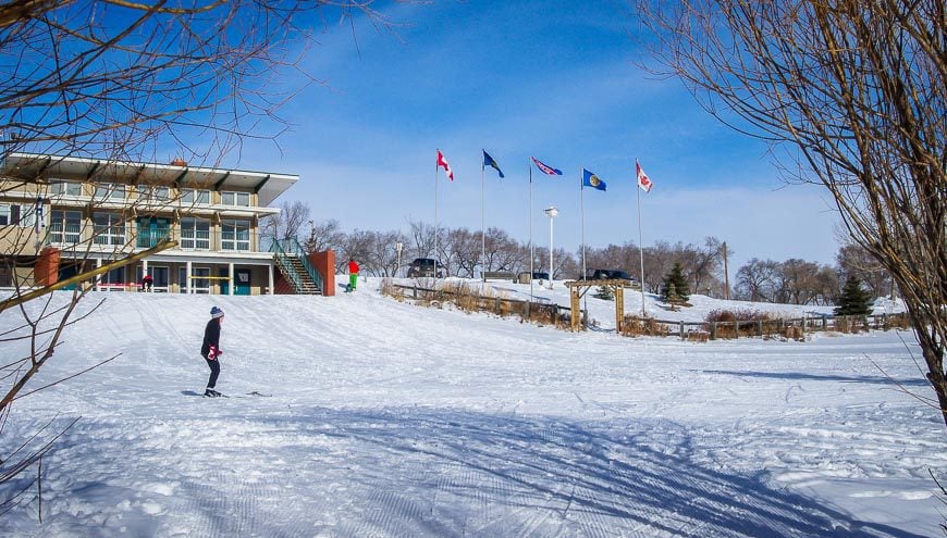 You feel like you're finishing a race when you come full circle after cross country skiing in Camrose