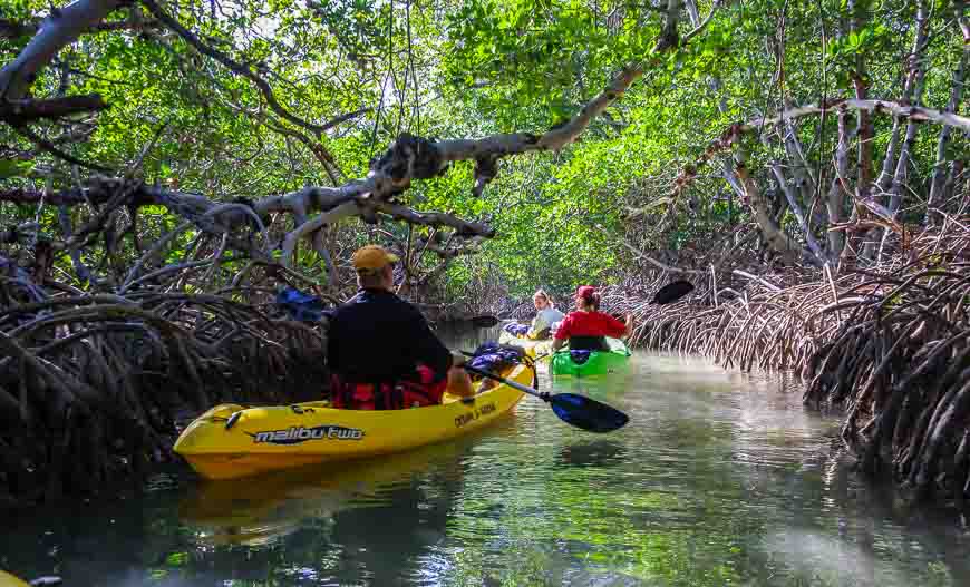 Florida Keys Kayaking Near Key West